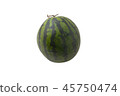 watermelon on a white background 45750474