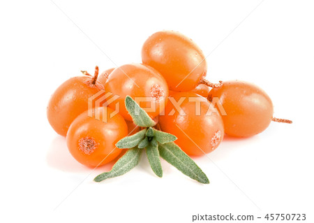 Sea buckthorn. Fresh ripe berry with leaves isolated on white background macro 45750723