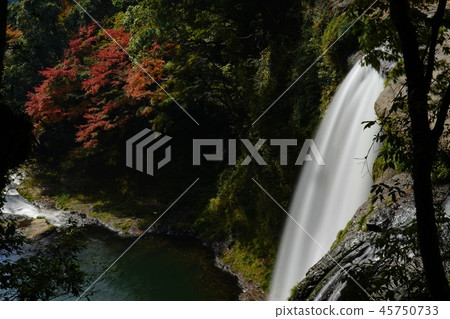 到達秋天的鰻魚孩子瀑布風景 45750733