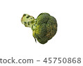 broccoli on a white background 45750868