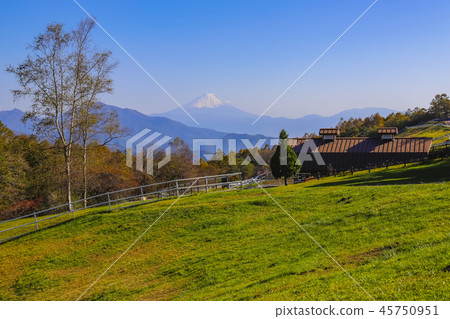 [Hokuto City, Yamanashi Prefecture] Autumn Yatsugatake Ranch and Makiba Park 45750951