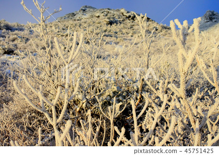 Adayatara山冰 Adayatara山冰 45751425