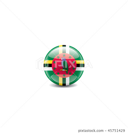 Dominica flag, vector illustration on a white background Dominica flag, vector illustration on a white background 45751429