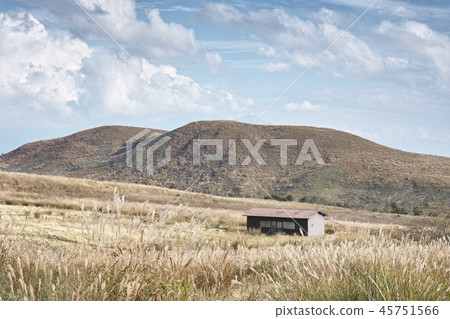 迷霧山脈的草原 迷霧山脈的草原 45751566