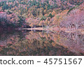秋天Tsujiike（山梨縣尼崎市） 45751567