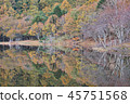 秋天Tsujiike（山梨縣尼崎市） 45751568