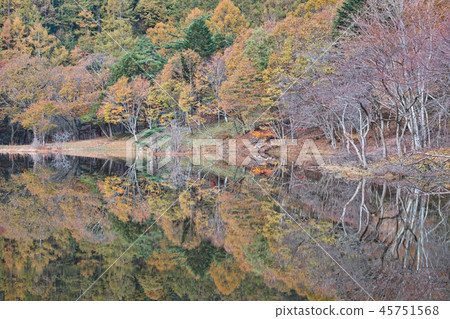 秋天Tsujiike（山梨縣尼崎市） 45751568
