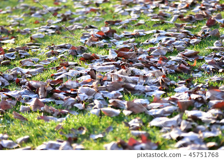 冬天的早晨 冬天的早晨 45751768