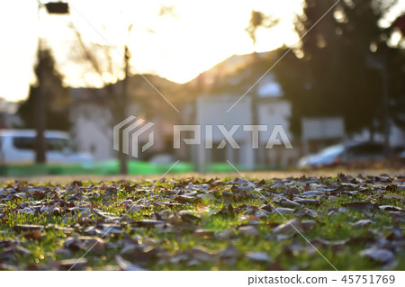 冬天的早晨 45751769