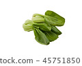 Pile of bok choy on a white background 45751850
