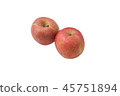 Two apples on a white background 45751894