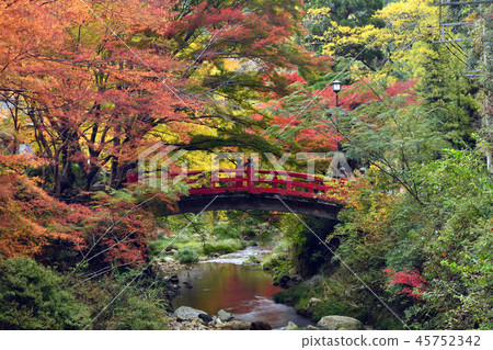 Dainingji autumn leaves Dainingji autumn leaves 45752342