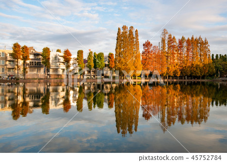 Autumn Bepshonuma Park Minami-ku, Saitama City Autumn Bepshonuma Park Minami-ku, Saitama City 45752784