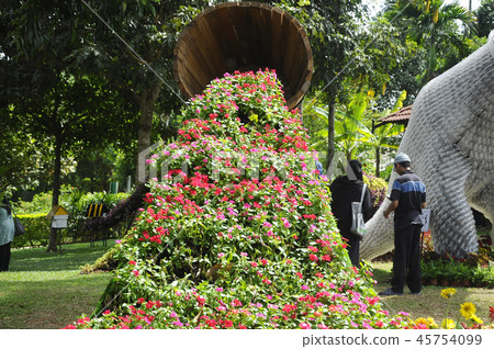 Catharanthus roseus. Catharanthus roseus. 45754099