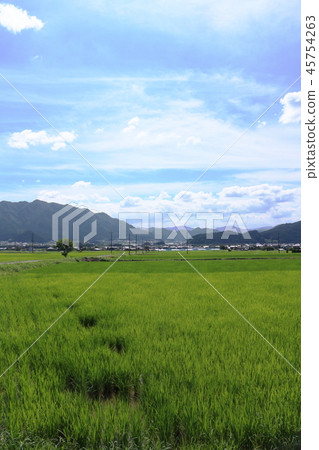 Kasuga Bureau birth village-Kuroi- 45754263