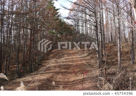 Stick Road Takeda Shingen's Military Road Yamanashi Prefecture Hokuto City 45754396