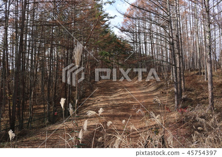 Stick Road Takeda Shingen的軍事路山梨縣北斗市 45754397