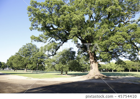 熊本城九州 熊本城九州 45754410