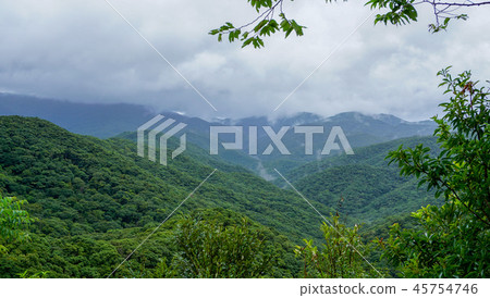 亞熱帶森林和山地 - 亞熱帶多雲森林和山脈2 45754746