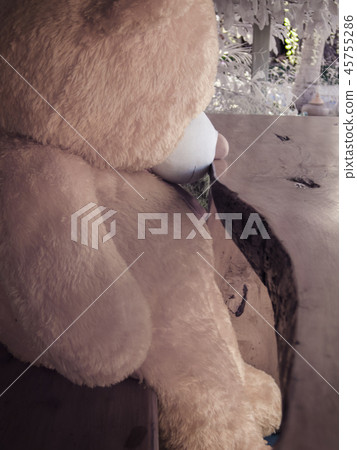 Teddy Bear ; Brown Bear doll / Sad bear doll Teddy Bear ; Brown Bear doll / Sad bear doll 45755286