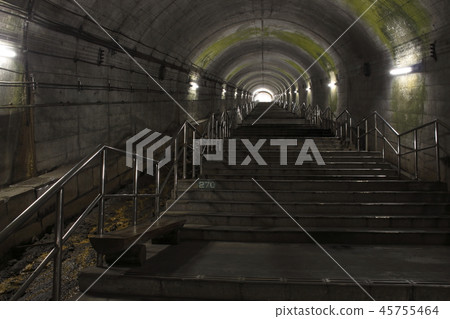 Joetsu Line Doi Station (Stairs from Home) 45755464