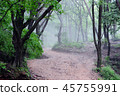 path 45755991