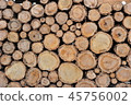 tree 45756002