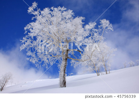 Snow scene around Honjo mountain climbing 45756339