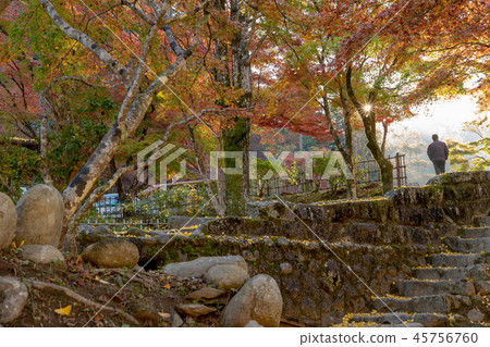 Autumn leaves and silhouettes Autumn leaves and silhouettes 45756760