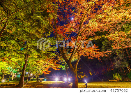 Autumn in Japan Mito Kairakuen Park Autumn leaves in Momiji Valley Autumn in Japan Mito Kairakuen Park Autumn leaves in Momiji Valley 45757062