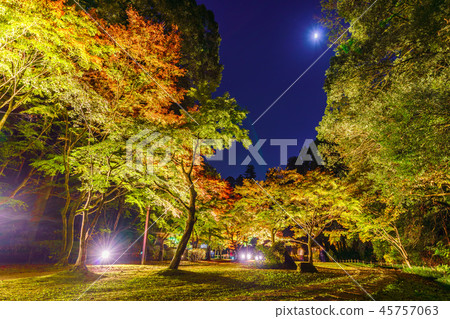 秋天在日本美圖Kairakuen公園秋葉在Momiji谷 45757063