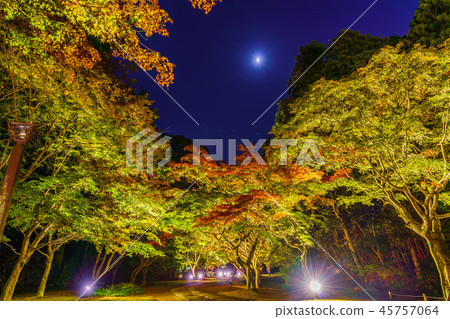 秋天在日本美圖Kairakuen公園秋葉在Momiji谷 秋天在日本美圖Kairakuen公園秋葉在Momiji谷 45757064