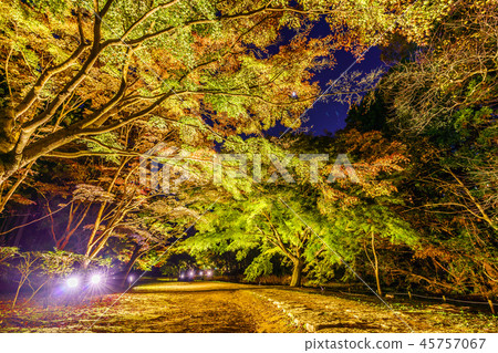 秋天在日本美圖Kairakuen公園秋葉在Momiji谷 秋天在日本美圖Kairakuen公園秋葉在Momiji谷 45757067