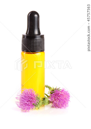 thistle oil and milk thistle flower isolated on white background 45757563