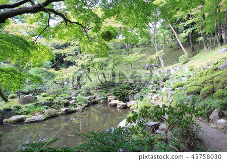 Garden pond and garden road 45758030