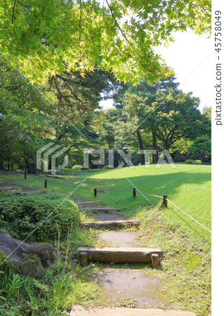 Beautiful lawn and garden path in the garden 45758049