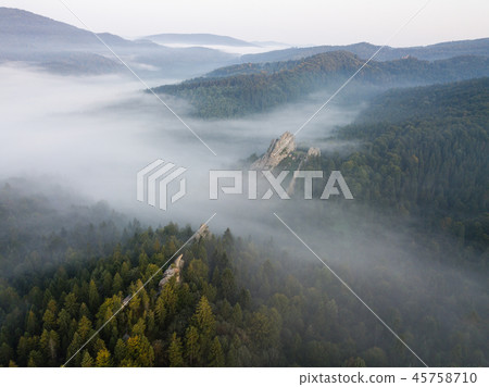Aerial view to Tustan fortress in Ukraine 45758710
