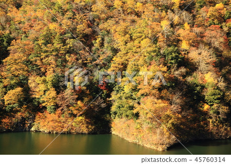 Autumn leaves Autumn leaves 45760314