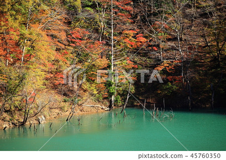 Autumn contrast Autumn contrast 45760350