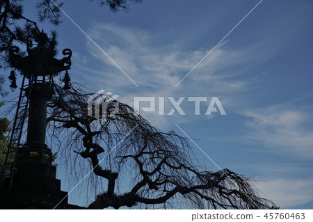 景觀與龍雲 景觀與龍雲 45760463