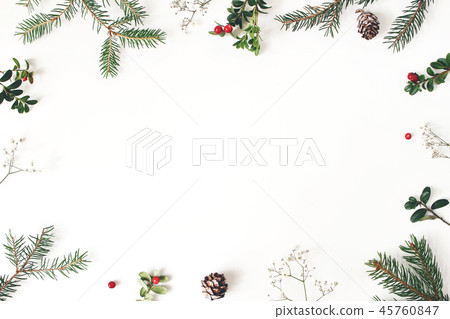 Christmas floral frame, decorative border. Winter composition of red cranberry branches, baby's 45760847