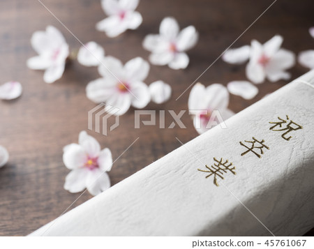 畢業圖像櫻花 45761067