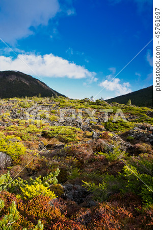 Kita Yatsugatake Tsubo在秋天 45761697