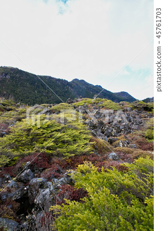 Kita Yatsugatake Tsubo在秋天 Kita Yatsugatake Tsubo在秋天 45761703
