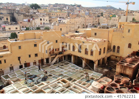 Tannelli Chowara 45762231