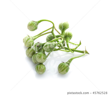 Fresh turkey berry on white background. 45762528