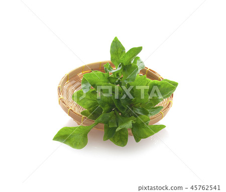 watercress isolated on white background 45762541
