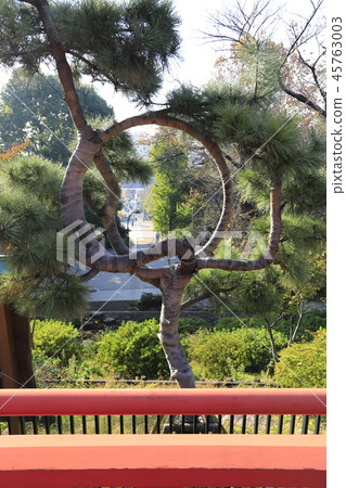 Ueno Higashi Teiyama Kanei-ji Shimizu Kannondo Tsuki no Matsu Ueno Higashi Teiyama Kanei-ji Shimizu Kannondo Tsuki no Matsu 45763003