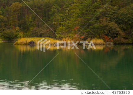 Autumn leaves of Goshikinuma 45763830