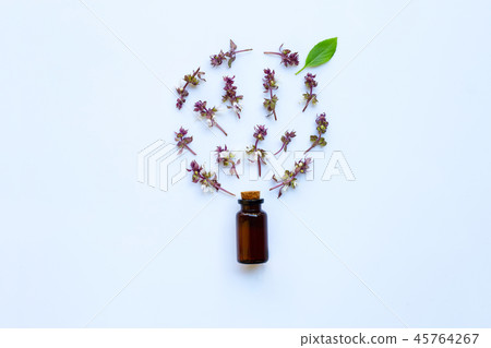 Flower of sweet basil and leave with drop bottle Flower of sweet basil and leave with drop bottle 45764267